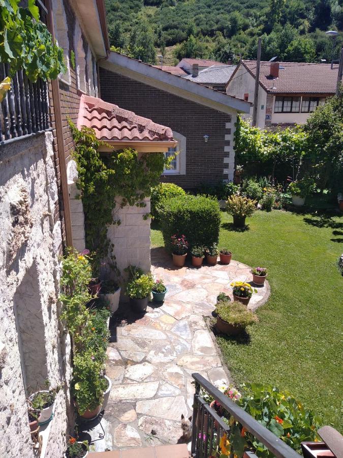 Casa Hostal Olga - Castilla Y Leon Cofinal 외부 사진