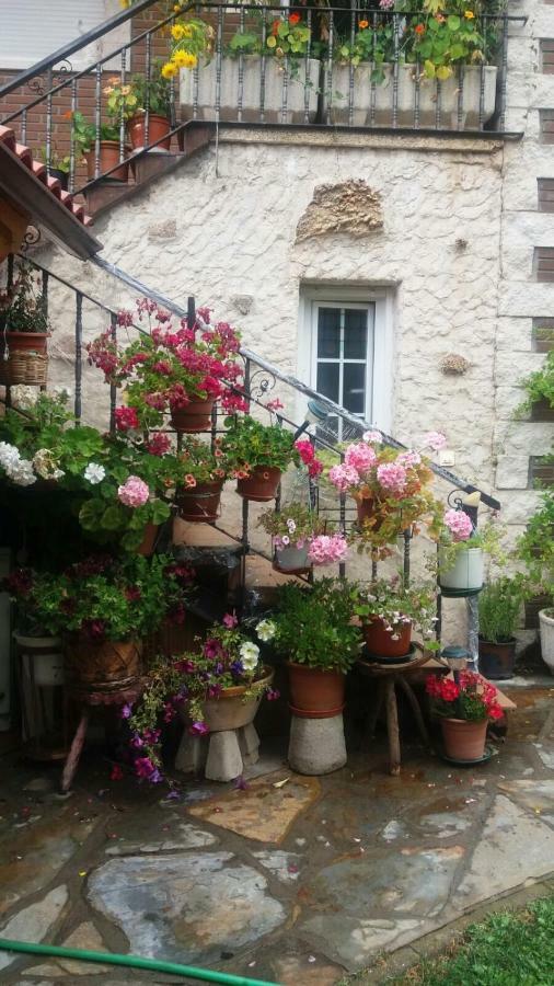 Casa Hostal Olga - Castilla Y Leon Cofinal 외부 사진